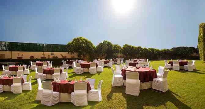 Orchid Lawn