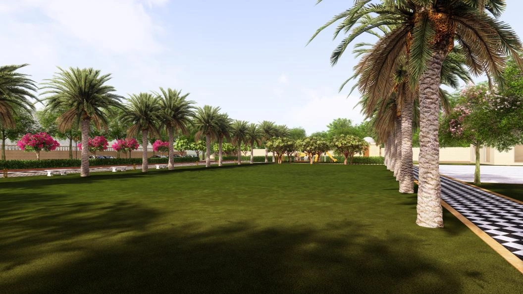Lawn 1